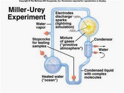 miller-urey experiment debunked